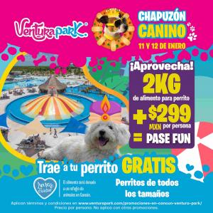 Promociones del Chapuzón Canino en Venturapark