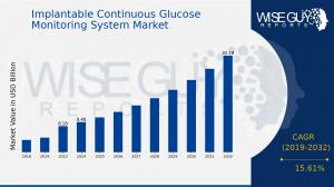 Implantable Continuous Glucose Monitoring System MarketImplantable Continuous Glucose Monitoring System Market