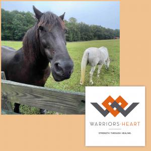 To help clients learn new skills and replace the bad habits of drinking and/or using drugs, Warriors Heart offers electives, including new equine programs, metal shop, wood shop, art therapy, fishing, gym, jiu jitsu, hiking, K-9 therapy and more.