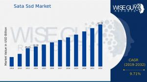 Sata Ssd Market Growth