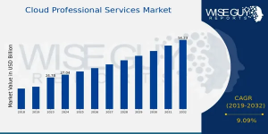 Cloud Professional Services Market Size