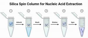 Silica Spin Column