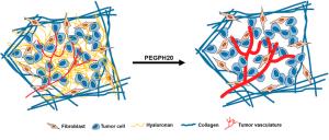 Recombinant Human Endostatin business