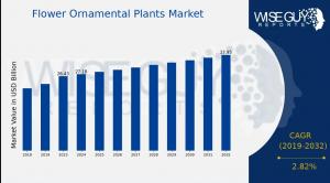 Flower Ornamental Plants Market Overview