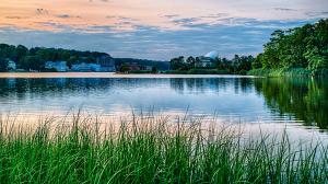 Saugatuck River, Westport, CT