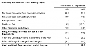 Summary Statement of Cash Flows