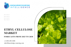 Ethyl Cellulose Market Trends