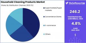 Household Cleaning Products Market By Distribution Channel Analysis