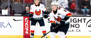 Two hockey players on ice near boards, spectators in the background, play in progress.