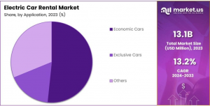 Electric Car Rental Market Share