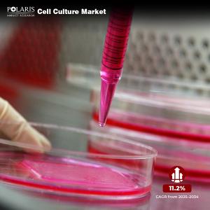 Cell Culture Market