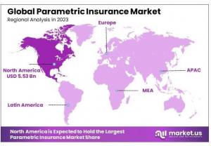 Parametric Insurance Market Regional Analysis