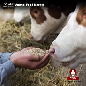 Animal Feed Market