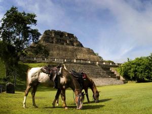 Xunantunich Horseback riding