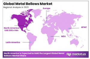 Metal Bellows Market Regional Analysis