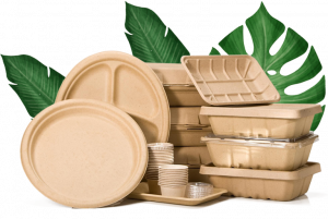 Biodegradable Paper & Plastic Packaging Business