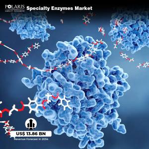 Specialty Enzymes Market