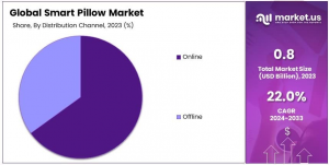 Smart Pillow Market Distribution Channel Analysis