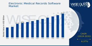 Electronic Medical Records Software Market