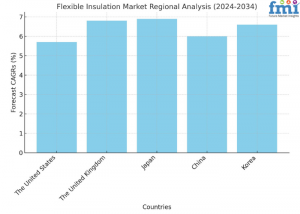 Flexible Insulation Market Regional Outlook