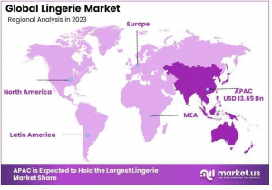 Lingerie Market Region