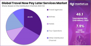  Travel Now Pay Later Services Market Distribution Channel Analysis