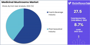 Medicinal-Mushrooms-Market-End-User-Analysis