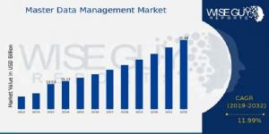 Master_Data_Management_Market_Size