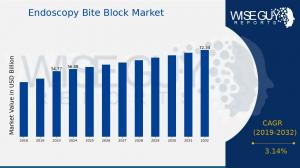 Endoscopy Bite Block Market growth