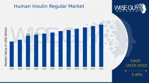 Human Insulin Regular Market