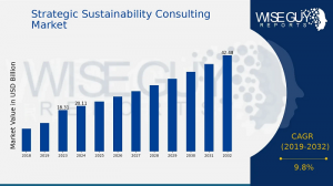 Strategic Sustainability Consulting Market Size