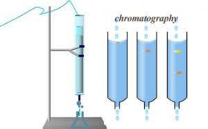 Membrane Chromatography