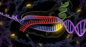 CRISPR & Cas Genes Market