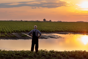 Farmers Betrayed By REAP Grant Freeze