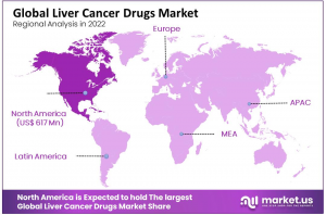 Liver Cancer Drugs Market Region