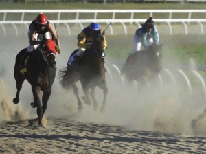 Image of horses and jockies racing along the oval track at the Elloree Trials.