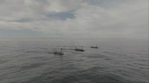 Three Lightfish autonomous surface vehicles navigate in formation across open ocean