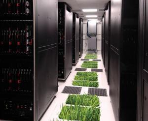 Green Data Center Market