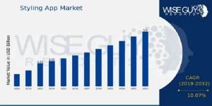 styling app market size