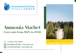 Ammonia Market