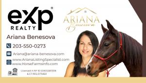 Ariana Benesova's business card featuring contact information and picture of my horse and me