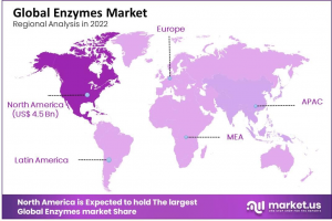 Enzymes Market Regions.png