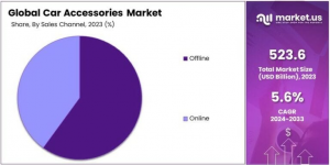 Car Accessories Market Share