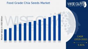 Food Grade Chia Seeds Market Overview