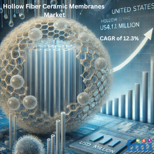 Hollow Fiber Ceramic Membrane Market Regional Analysis