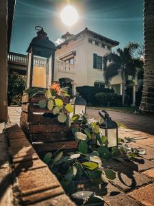 Bonita Ranch Mediterranean Plant Nursery and Wedding Venue Golden Hour Picture