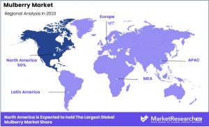 Mulberry Market Regional Analysis