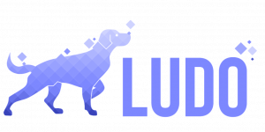 An image of the Ludo.ai logo