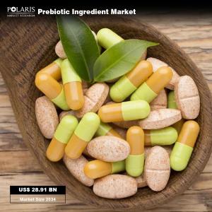 Prebiotic Ingredient Market