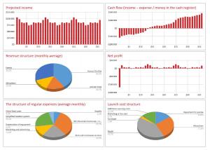  Example of a financial model calculation for a VR park